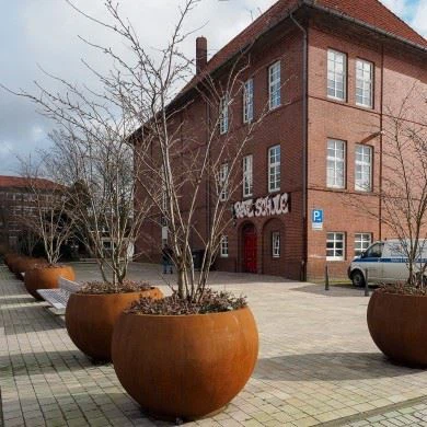 Decoration Corten Steel Metal Planter