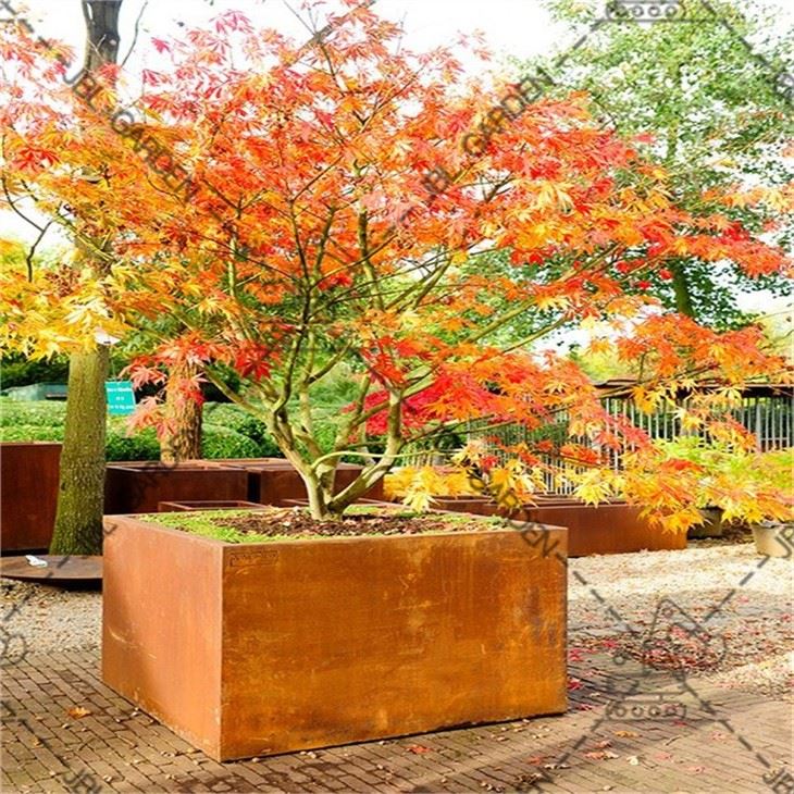 Galvanized Steel For Garden Beds