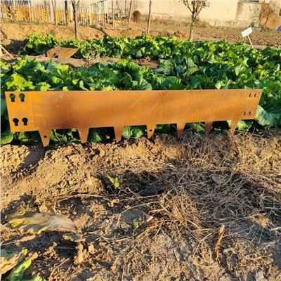 造園のためのコルテン鋼の縁取り