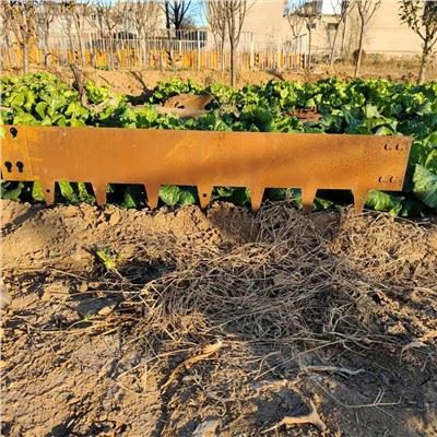 カスタマイズされたスチールエッジングガーデン