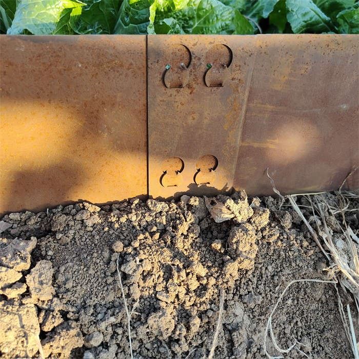 Lawn Edging Of Corten
